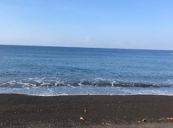 Salt & アメッド